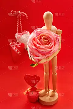 情人节卡,垂直画幅,贺卡,灵感,形状,符号,巨大的,玫瑰,牵线木偶