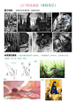 文艺复星球插画班-07构成基础（笔记） - 小红书