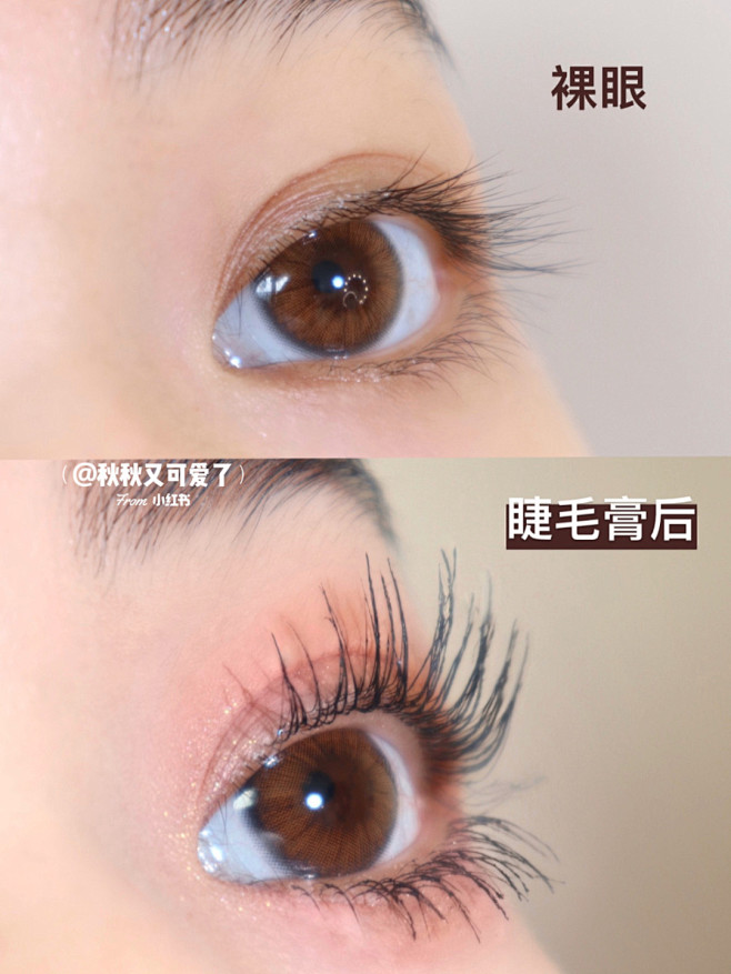 摊牌了！  我的心机睫毛秘密都在这儿了～...