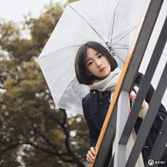 黑夜的白羊_Allan采集到摄影
