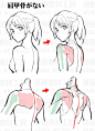 肩部胸部画法 教程来自：漫画素材工房 O网页链接 ​​​​