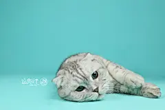 行走的表情包，严肃的大脸！ 哈哈～  徐度时光——棚拍系列
