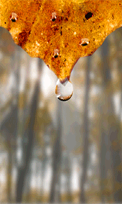 动态壁纸的取舍 - 手机三人行 - 手机三人行的博客