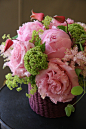 Flowers in pink
