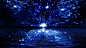 夜蝶