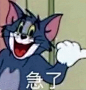 猫和老鼠