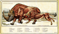 Beth Zaiken on Behance