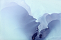 冰岛  |  by  Zack Seckler ​​​​