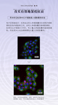 萳蒥采集到详情页