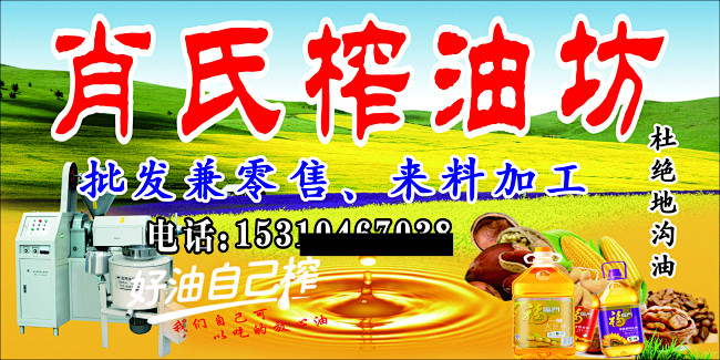 金质榨油机