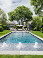 Pool and Backyard