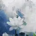 Eleanor喵喵猫咪控