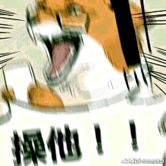 祁娘采集到表情包