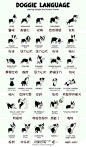狗狗的语言你真的懂吗？