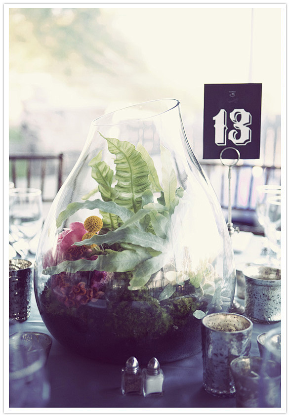 terrarium centerpiec...