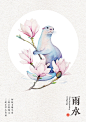 雨水