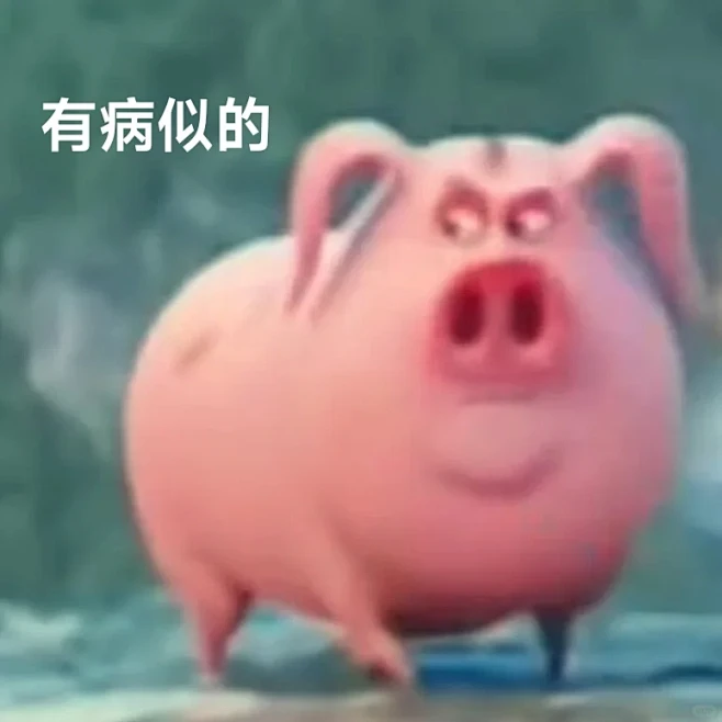 飞天猪表情包来咯！速来进货！！ - 小红书-花瓣网