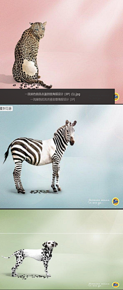 foreverr_采集到大广赛