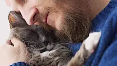 点击来源直接获取大图文件 |A bearded man lovingly hugs his cat, hugs him to himself. Favorite cat with his owner. Relationship between pets and people. Gray fluffy cat in the arms of his pet owner.