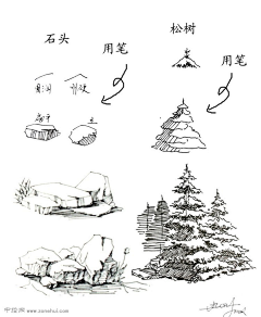 CheeTsai采集到植物 园林 线稿