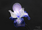 (724) Pinterest