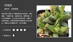 群龙无首_吉采集到植物