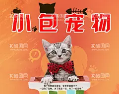 宠物店广告海报  - 源文件下载【酷图网】宠物店,广告,海报,宠物店单透,可爱,卡通背景,动物背景,小猫背景,可爱小猫