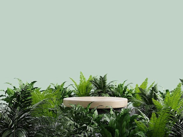 Wooden podium in tro...