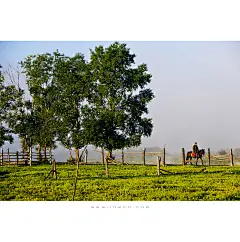 雾起临江屯_内蒙古_黄河上下_光影天下_数码生存-小林的摄影设计手绘文字