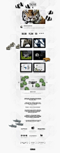Web Graphic Design. Layout. Wireframe. WWF. APP. #网页# #design # #website #
