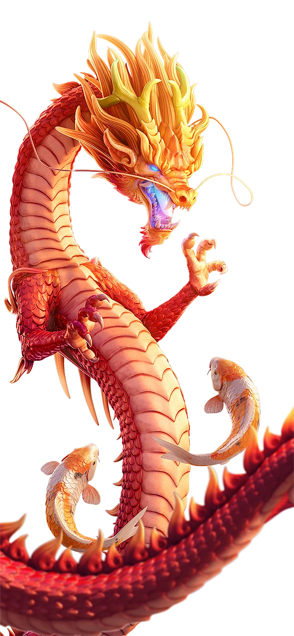 龙2