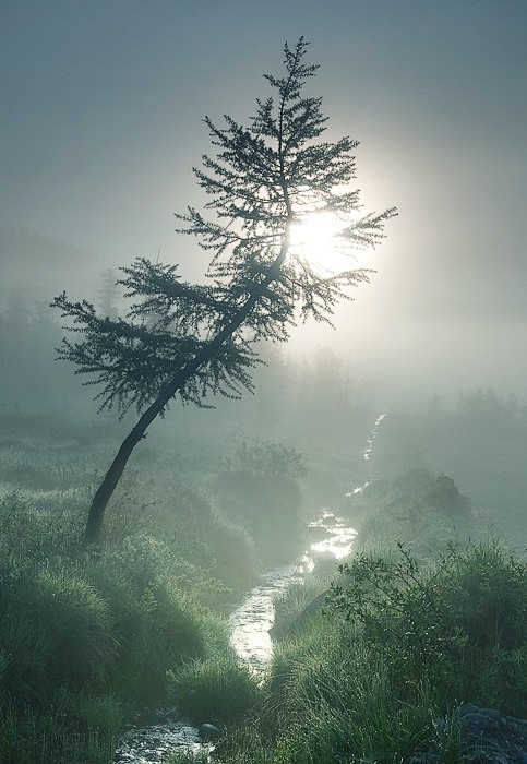 Mist - Imgur