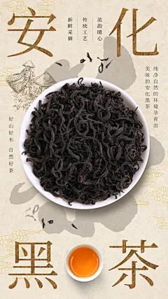 茶叶海报