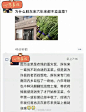 我有个朋友就是种大棚的 ，转述一下他的话，大家有个参考，其实农药对我们的影响并没有想象的那么大，（虽然一定会有影响，但没有对比就没有伤害）影响最大的反而是运输环节做的防腐处理，为了体现出蔬菜新鲜，可是不计成本的灌药，我生活在八十线小城市，也都买不到新鲜的蔬菜，菜农有时候会利用自己家小院子种些蔬菜，虽然不打药虫子会干掉一部分，但也完全吃不完的。