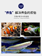 哈洁宝小蓝瓶精品甲唑片水族观赏鱼热带鱼鹦鹉锦鲤非兽药鱼药-tmall.com天猫