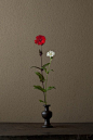 ikebana by Toshiro Kawase, Japan: 