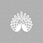 白孔雀,品牌名称,肖像,动物,鸟类,孔雀,尾巴,奇异的,绘画插图,白化基因