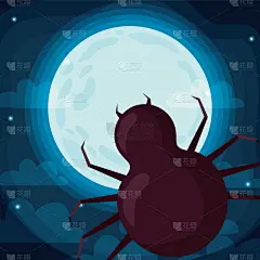 怪异,动物,蜘蛛,被抛弃的,风险,部分,蜘蛛纲,沟通