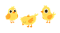 小鸡
