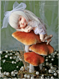 Faerie's : Sweet fairy on mushrooms