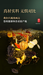 【青源堂人参五宝茶525克】青源堂人参五宝茶525克玛咖黑红枸杞子补茶黑桑葚干茶男性八宝茶熬夜男人养生茶滋补品玛卡制黄精【行情 报价 价格 评测】-京东