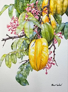 (567) Pinterest