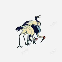 手绘丹顶鹤高清素材 丹顶鹤 古风 手绘 插画 背景 免抠png 设计图片 免费下载