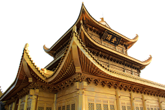 是梅开哦采集到旅游素材