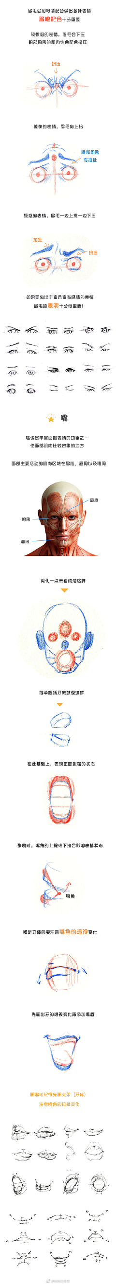 千叶落丿秋意凉采集到插画-线稿
