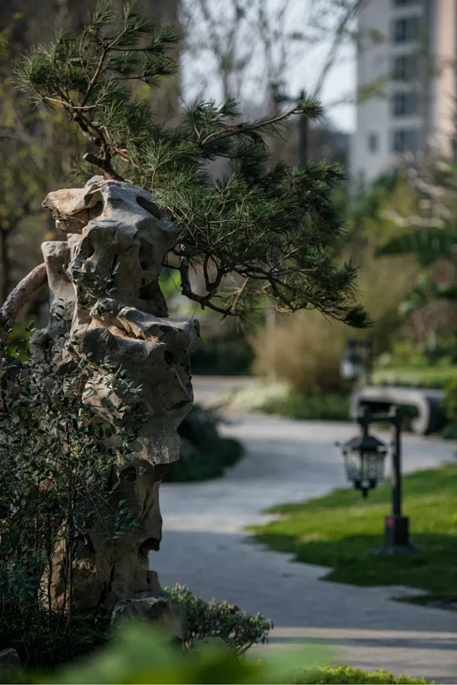 如何打造东方景观的高级感丨漳州建发•碧湖双玺大区景观 : 漳州建发•碧湖双玺-花瓣网