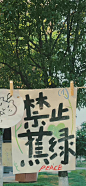 #摄影（风景-绿色系壁纸-春天-生活）