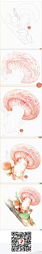 【鸟酱的手稿】蘑菇，蘑菇，蘑菇，现在看到蘑菇都快吐啦！！蘑菇，蘑菇，你全家都是蘑菇~