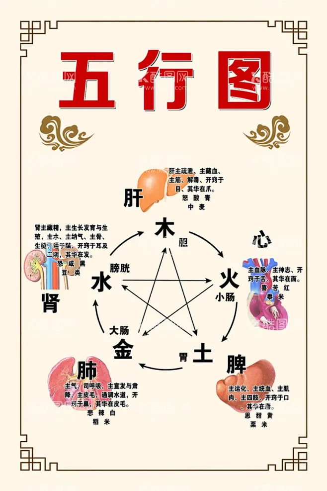 五行图养生金木水火土分层图 - 源文件下载【酷图网】五行图,金木水火土,五行相生图,五行相克图,内脏五行图,养生五行图,五行养生图-花瓣网