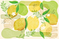 Watercolor set of lemons. Lemon segments. Watercolor Hand Painted Lemons and Blossoms Pattern, Clip Art. Spring, Summer Concept Background. 库存矢量图